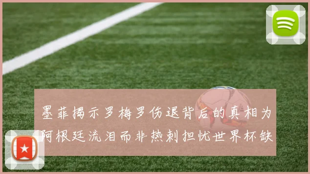 墨菲揭示罗梅罗伤退背后的真相为阿根廷流泪而非热刺担忧世界杯缺席