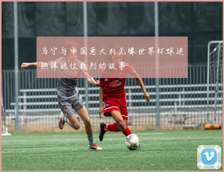 马宁与中国意大利无缘世界杯球迷热捧这位裁判的故事